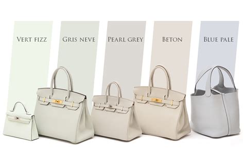 hermes gris neve color|new Hermes colors.